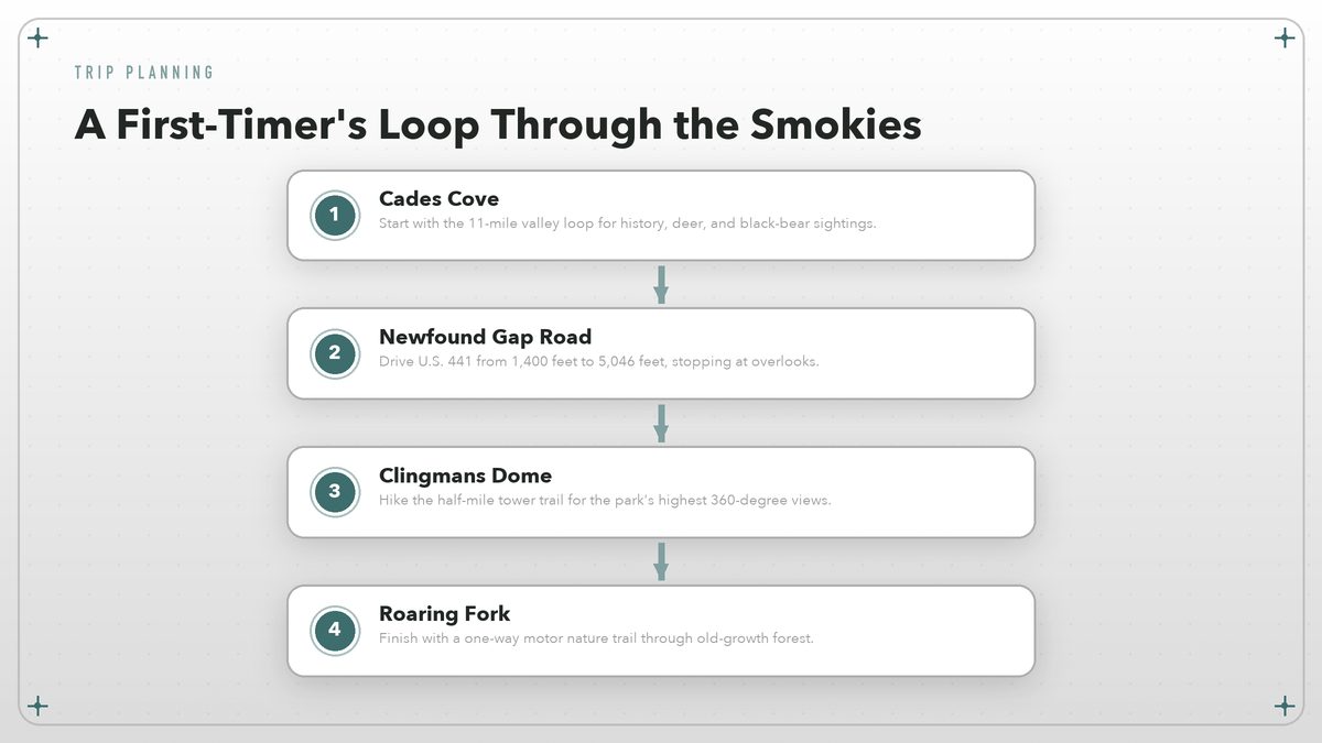 Flow diagram showing a first-timer's route through Great Smoky Mountains National Park from Cades Cove to Clingmans Dome.